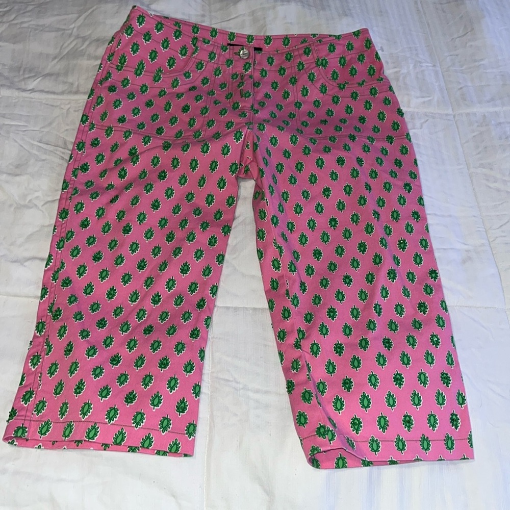 Havenbleu pink and green beaded leaf print cropped pants size 6 LNC!
